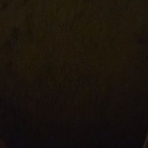 Meet your Posher, Sabine